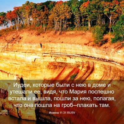 Picture 03 - Иоанна 11:31 RUSV - Иудеи, которые были с нею в - Bible Verse Picture