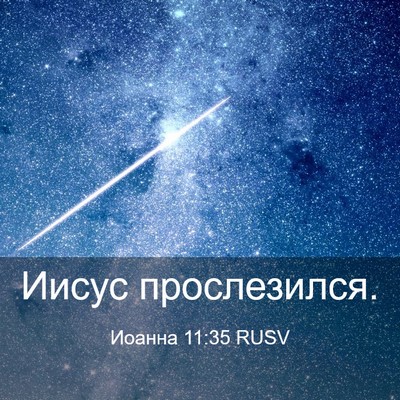 Picture 03 - Иоанна 11:35 RUSV - Иисус - Bible Verse Picture