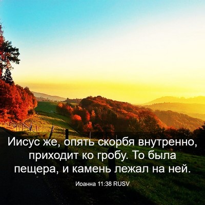 Picture 03 - Иоанна 11:38 RUSV - Иисус же, опять скорбя - Bible Verse Picture
