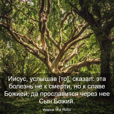 Picture 03 - Иоанна 11:4 RUSV - Иисус, услышав [то], сказал: - Bible Verse Picture