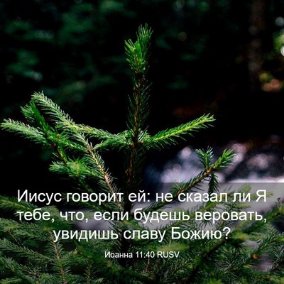 Picture 03 - Иоанна 11:40 RUSV - Иисус говорит ей: не сказал - Bible Verse Picture