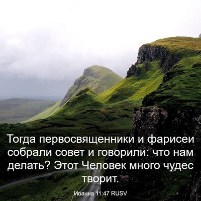 Picture 03 - Иоанна 11:47 RUSV - Тогда первосвященники и - Bible Verse Picture