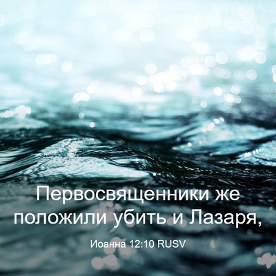 Picture 03 - Иоанна 12:10 RUSV - Первосвященники же - Bible Verse Picture
