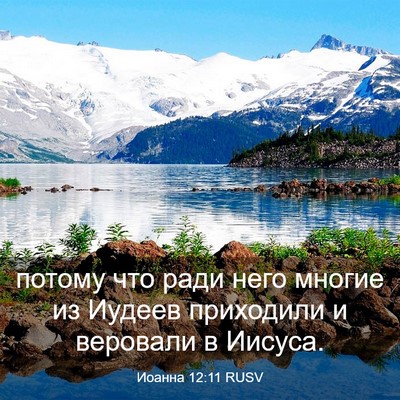 Picture 03 - Иоанна 12:11 RUSV - потому что ради него - Bible Verse Picture