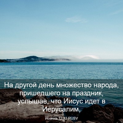 Picture 03 - Иоанна 12:12 RUSV - На другой день множество - Bible Verse Picture