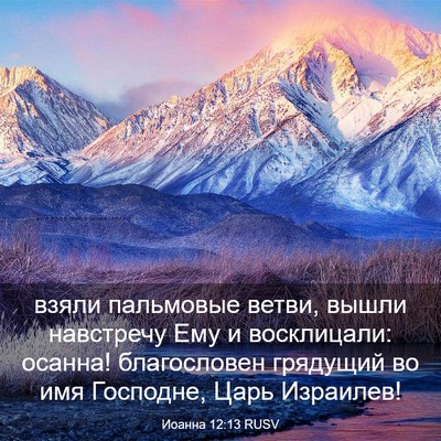 Picture 03 - Иоанна 12:13 RUSV - взяли пальмовые ветви, - Bible Verse Picture
