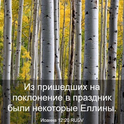 Picture 03 - Иоанна 12:20 RUSV - Из пришедших на поклонение - Bible Verse Picture