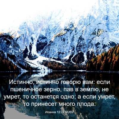 Picture 03 - Иоанна 12:24 RUSV - Истинно, истинно говорю - Bible Verse Picture