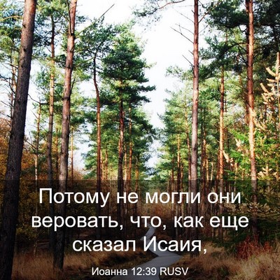 Picture 03 - Иоанна 12:39 RUSV - Потому не могли они - Bible Verse Picture