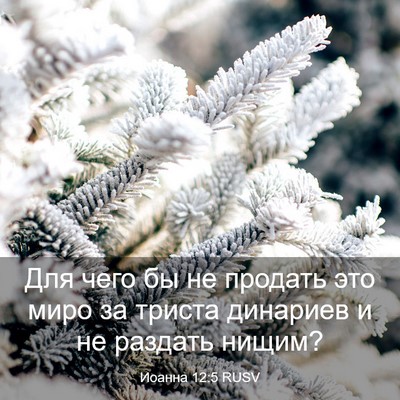 Picture 03 - Иоанна 12:5 RUSV - Для чего бы не продать это - Bible Verse Picture