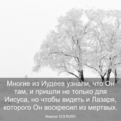 Picture 03 - Иоанна 12:9 RUSV - Многие из Иудеев узнали, - Bible Verse Picture