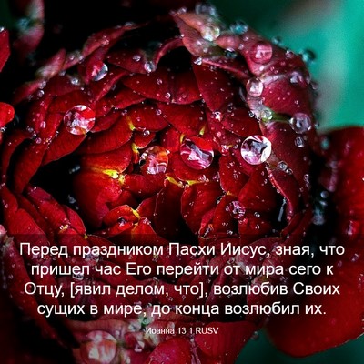 Picture 03 - Иоанна 13:1 RUSV - Перед праздником Пасхи - Bible Verse Picture
