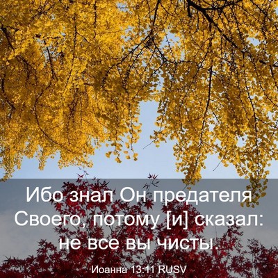 Picture 03 - Иоанна 13:11 RUSV - Ибо знал Он предателя - Bible Verse Picture