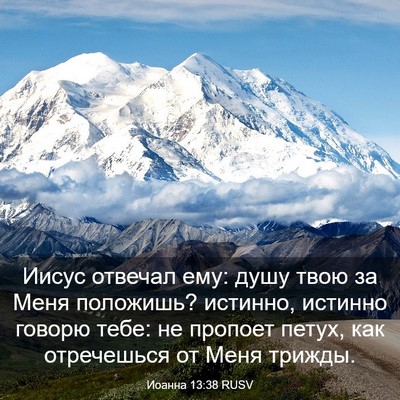 Picture 03 - Иоанна 13:38 RUSV - Иисус отвечал ему: душу - Bible Verse Picture