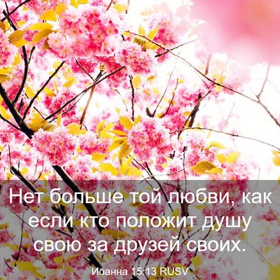 Picture 03 - Иоанна 15:13 RUSV - Нет больше той любви, как - Bible Verse Picture