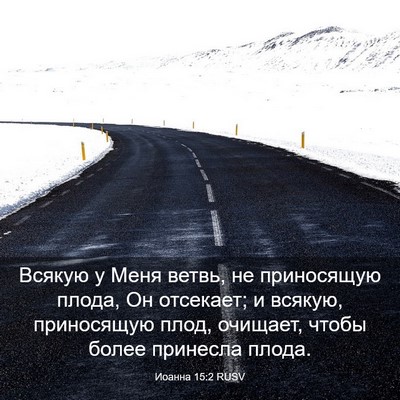 Picture 03 - Иоанна 15:2 RUSV - Всякую у Меня ветвь, не - Bible Verse Picture