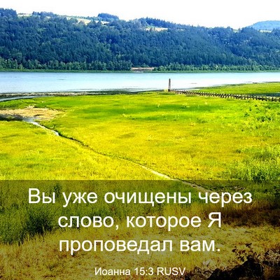 Picture 03 - Иоанна 15:3 RUSV - Вы уже очищены через слово, - Bible Verse Picture