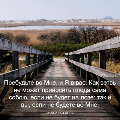 Picture 03 - Иоанна 15:4 RUSV - Пребудьте во Мне, и Я в вас. - Bible Verse Picture