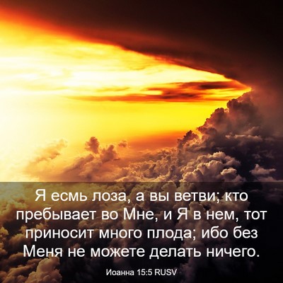 Picture 03 - Иоанна 15:5 RUSV - Я есмь лоза, а вы ветви; кто - Bible Verse Picture