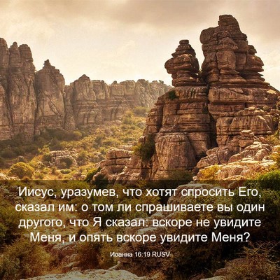 Picture 03 - Иоанна 16:19 RUSV - Иисус, уразумев, что хотят - Bible Verse Picture