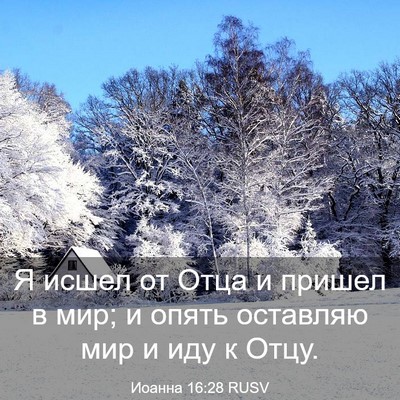 Picture 03 - Иоанна 16:28 RUSV - Я исшел от Отца и пришел в - Bible Verse Picture