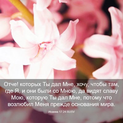 Picture 03 - Иоанна 17:24 RUSV - Отче! которых Ты дал Мне, - Bible Verse Picture