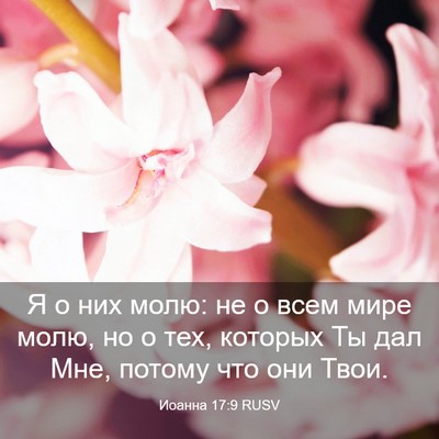 Picture 03 - Иоанна 17:9 RUSV - Я о них молю: не о всем мире - Bible Verse Picture