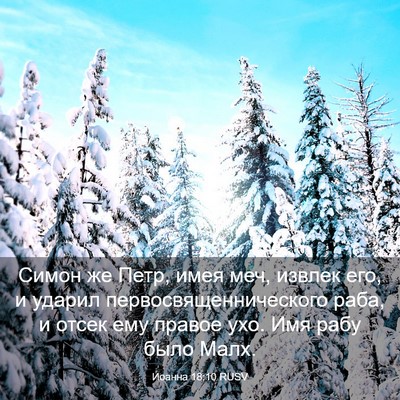 Picture 03 - Иоанна 18:10 RUSV - Симон же Петр, имея меч, - Bible Verse Picture