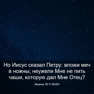 Picture 03 - Иоанна 18:11 RUSV - Но Иисус сказал Петру: - Bible Verse Picture