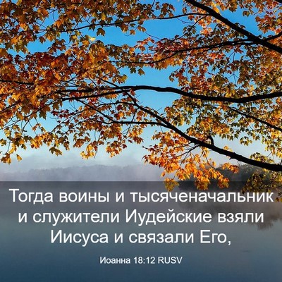 Picture 03 - Иоанна 18:12 RUSV - Тогда воины и - Bible Verse Picture