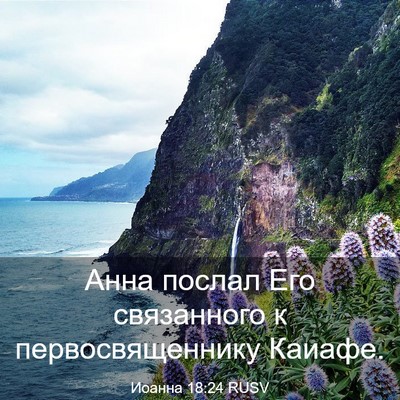 Picture 03 - Иоанна 18:24 RUSV - Анна послал Его связанного - Bible Verse Picture