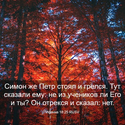 Picture 03 - Иоанна 18:25 RUSV - Симон же Петр стоял и - Bible Verse Picture