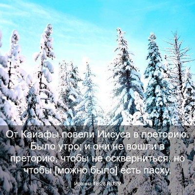 Picture 03 - Иоанна 18:28 RUSV - От Каиафы повели Иисуса в - Bible Verse Picture