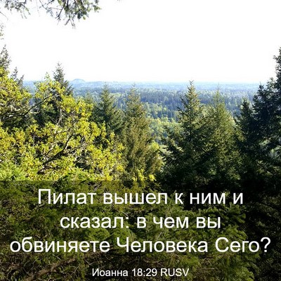 Picture 03 - Иоанна 18:29 RUSV - Пилат вышел к ним и сказал: - Bible Verse Picture