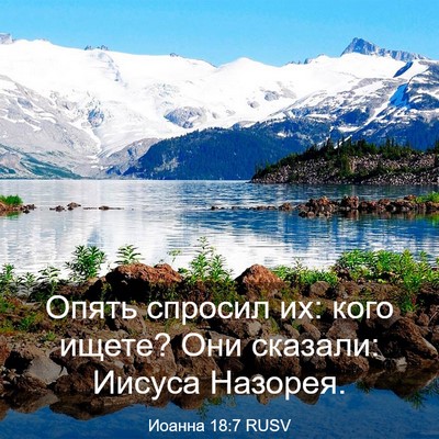 Picture 03 - Иоанна 18:7 RUSV - Опять спросил их: кого - Bible Verse Picture