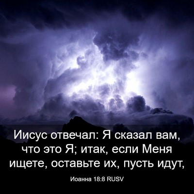 Picture 03 - Иоанна 18:8 RUSV - Иисус отвечал: Я сказал - Bible Verse Picture