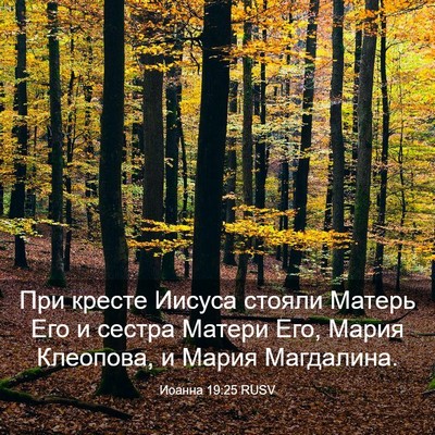 Picture 03 - Иоанна 19:25 RUSV - При кресте Иисуса стояли - Bible Verse Picture