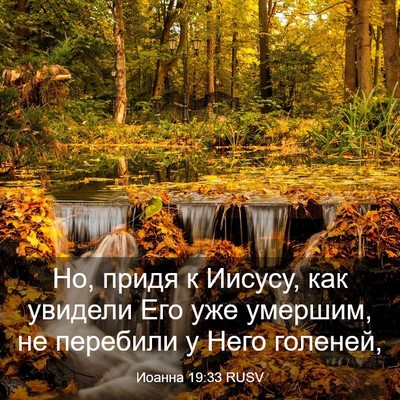 Picture 03 - Иоанна 19:33 RUSV - Но, придя к Иисусу, как - Bible Verse Picture