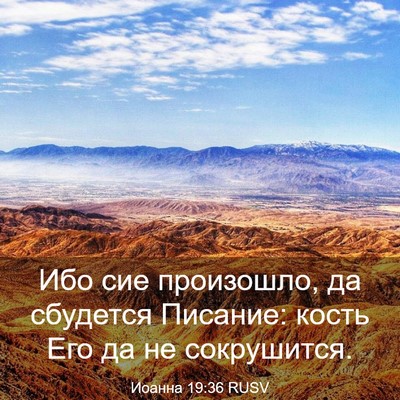 Picture 03 - Иоанна 19:36 RUSV - Ибо сие произошло, да - Bible Verse Picture