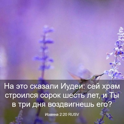 Picture 03 - Иоанна 2:20 RUSV - На это сказали Иудеи: сей - Bible Verse Picture