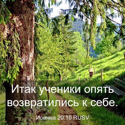 Picture 03 - Иоанна 20:10 RUSV - Итак ученики опять - Bible Verse Picture
