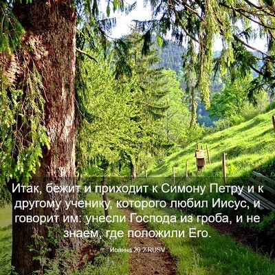 Picture 03 - Иоанна 20:2 RUSV - Итак, бежит и приходит к - Bible Verse Picture