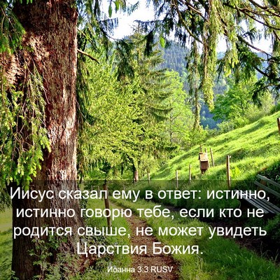 Picture 03 - Иоанна 3:3 RUSV - Иисус сказал ему в ответ: - Bible Verse Picture