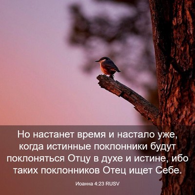 Picture 03 - Иоанна 4:23 RUSV - Но настанет время и - Bible Verse Picture