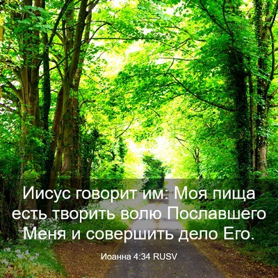 Picture 03 - Иоанна 4:34 RUSV - Иисус говорит им: Моя пища - Bible Verse Picture