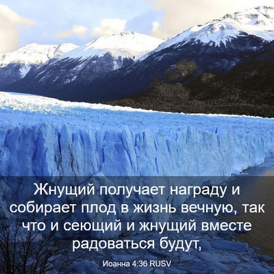 Picture 03 - Иоанна 4:36 RUSV - Жнущий получает награду и - Bible Verse Picture