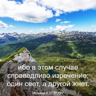 Picture 03 - Иоанна 4:37 RUSV - ибо в этом случае - Bible Verse Picture