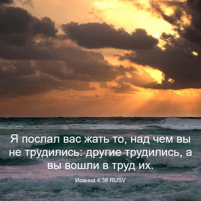 Picture 03 - Иоанна 4:38 RUSV - Я послал вас жать то, над - Bible Verse Picture