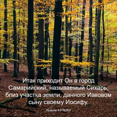 Picture 03 - Иоанна 4:5 RUSV - Итак приходит Он в город - Bible Verse Picture