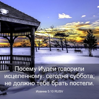 Picture 03 - Иоанна 5:10 RUSV - Посему Иудеи говорили - Bible Verse Picture